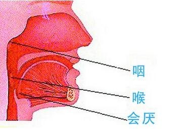 咽炎治疗需要多少钱