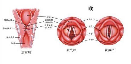 治疗声带小结哪家医院好