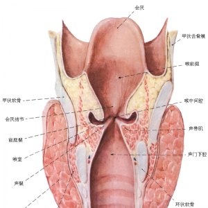 声带小结发病时有哪些症状