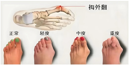 微信图片_20240910104717.jpg
