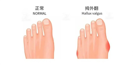 微信图片_20241008152447.jpg
