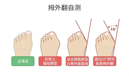 微信图片_20241008152458.jpg