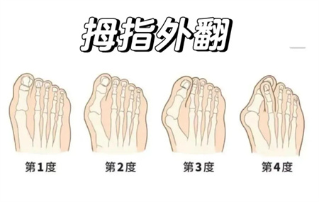 微信图片_20241008152503.jpg